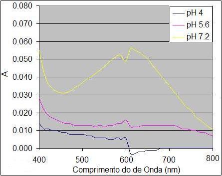 82 Figura 24. Varredura espectrofotométrica do AC na presença de Fe(II) em diferentes phs. O meio reacional era composto por Hepes/MES 8 mmol.l -1 (ajustado para phs 4,0, 5,6 e 7,2) Fe(II) 8 μmol.