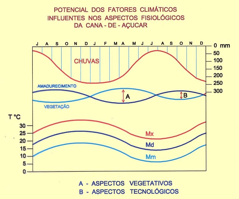 (a) Maturação da cana-de-açúcar 13 Crescimento