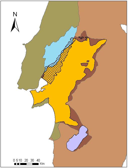 3. GEOLOGIA E HIDROGEOLOGIA DA ÁREA EM ESTUDO diferenciados: as Aluviões de Abrantes (T4) e as Aluviões de Constância (T5).