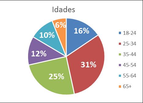 Dados de perfil dos visitantes para cada área do site RTP Fonte: Google Analytics Site