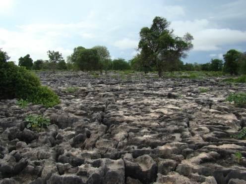 40 (cavernas em suas múltiplas formas).