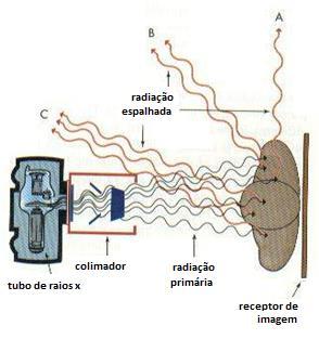 Exposição [mr/h]