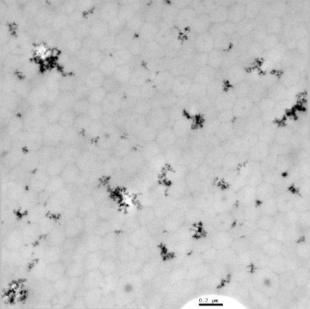 Normalized mass loss (mg) Dispersões CAB-O-SPERSE em Tintas Base Água Imagens
