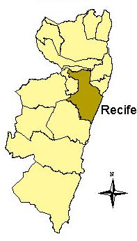 Figura 4 Região Metropolitana do Recife (marron) e outros municípios Figura 5 Recorte da Cena HRV Spot 732/366 Cidade do Recife 7.