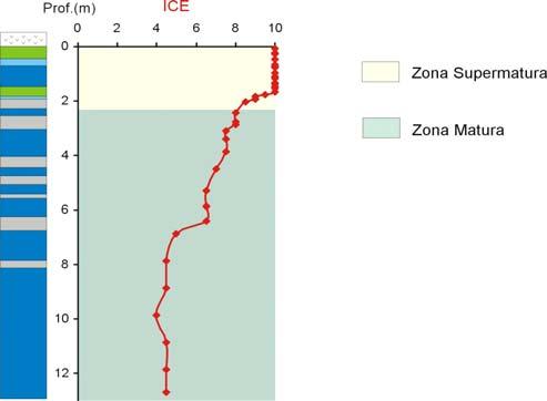 Figura 5 - Correlação entre os parâmetros organopetrográficos, organogeoquímicos e moleculares das amostras do Estado do Rio Grande do Sul.