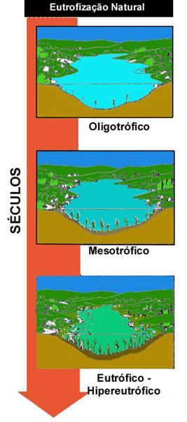 LIMNOLOGIA A eutrofização ao