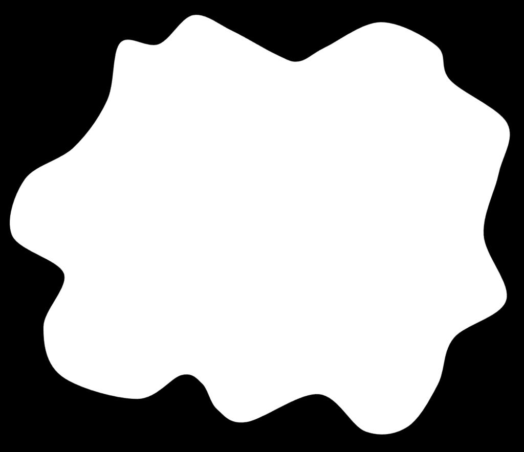 M. tuberculosis IFNR Cortisol