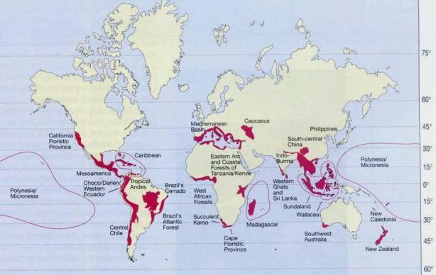 Pimm & Raven 2000, Nature: Extinction by Numbers: importância de áreas protegidas Considerando os