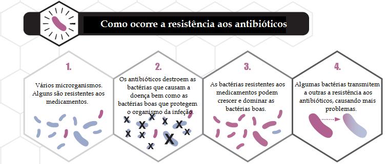 Após as bactérias das duas espécies entrarem em contacto uma com a outras é necessário que exista passagem de informação entre elas de modo que as bactérias resistentes confiram resistências as