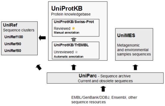 Acesse: http://www.uniprot.org/ É uma colaboração entre o Instituto Europeu de Bioinformática (EBI), o Instituto Suíço de Bioinformática (SIB) e o Protein Information Resource (PIR).