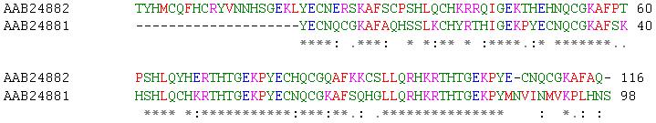 Figura 1 Exemplo de alinhamento entre duas sequências, produzido pelo programa ClustalW entre duas proteínas dedo-de-zinco humanas (human zinc finger proteins) identificadas por seus números de