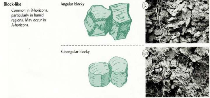 40 z Blocos