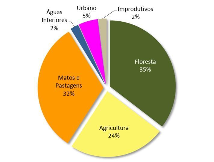 A NOSSA FLORESTA: Áreas por uso do solo