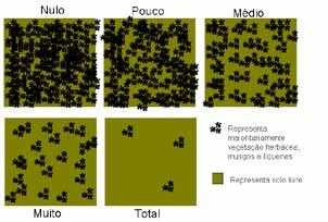 2. SUBSTRATO 2.1 SOLO (tipo):... 1 Mineral 2 Terroso 3 Orgânico Preencher com base na análise do solo do bosque.