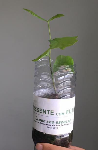 Convidado a colaborar na Semana da Floresta da Região de Lafões, o Clube Eco-Escola aproveitou essa oportunidade para lançar a campanha, distribuindo centenas de recipientes com bolotas e pinhões,