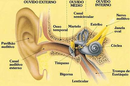 As oscilações de diafragmas dos microfones, do cone dos alto-falantes, ou dos tímpanos dos