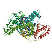 BSA (Bovine serum albumin): É eficiente em amplificações de DNAs antigos