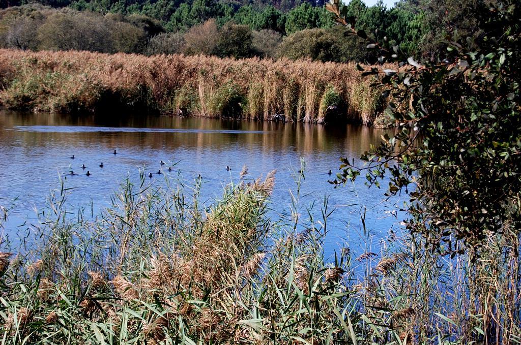 Educação Ambiental onde se promove o Serviço