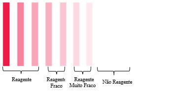 33 Figura 13 - Parâmetros utilizados para avaliar a intensidade da linha teste (T) Legenda: Reagente (3), Reagente fraco (2), Reagente muito fraco (1), Não Reagente (0).