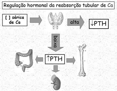 Aldosterona RT de Na e RT de K; Peptídeo natriurético