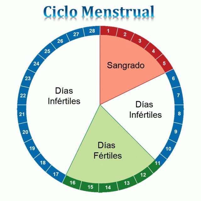 É baseada em um cálculo realizado a partir de um calendário, para saber o início e o fim do período fértil. Desse modo, são evitadas relações nos períodos em que há maior chance de gravidez.