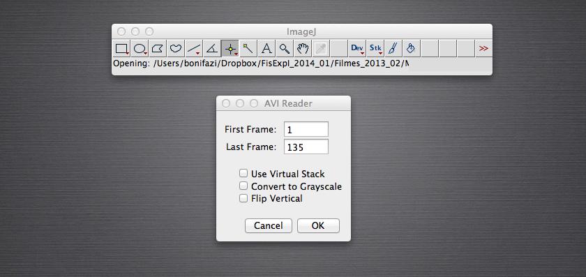73 Figura E.2: ImageJ: tela de inicio para carregar o filme. Figura E.3: ImageJ: posição do cursor sobre a imagem.