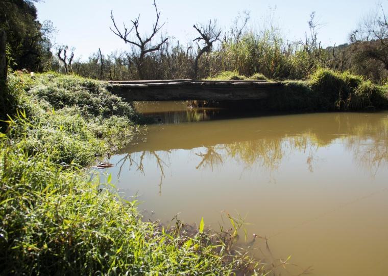 36 1.5.2.1 Ponto 1 (25 28'36.04" S 49 28'01.69" O) Localizado no rio Verde próximo à cabeceira do reservatório. Caracteriza-se como um ambiente lótico, com profundidade média de 4 m.