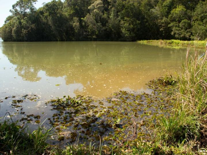 A agricultura é principal atividade do entorno e a vegetação ciliar ultrapassa trinta metros de largura em todo o trecho. As margens apresentam erosão de leve a moderada.