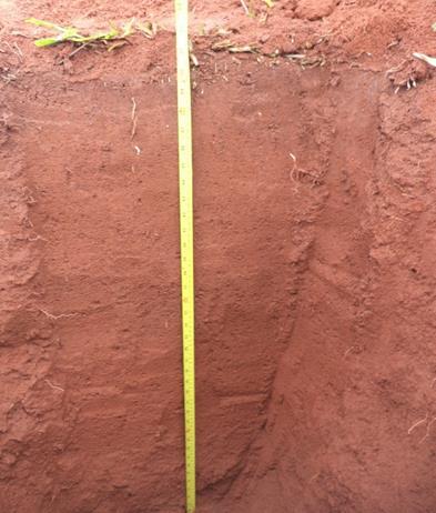 Para determinação das características químicas do solo realizou-se a análise química do solo coletado nos horizontes delimitados de cada perfil estudado, segundo a metodologia proposta pela Embrapa