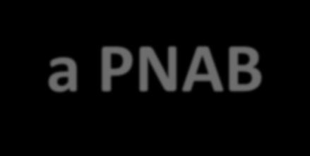 Principais avanços da PNAB 1.