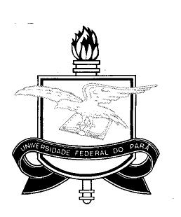 UNIVERSIDADE FEDERAL DO PARÁ CENTRO DE GEOCIÊNCIAS CURSO DE PÓS-GRADUAÇÃO EM GEOLOGIA E GEOQUÍMICA DISSERTAÇÃO DE MESTRADO ANÁLISE DE IMAGENS DE SENSORES REMOTOS ORBITAIS PARA