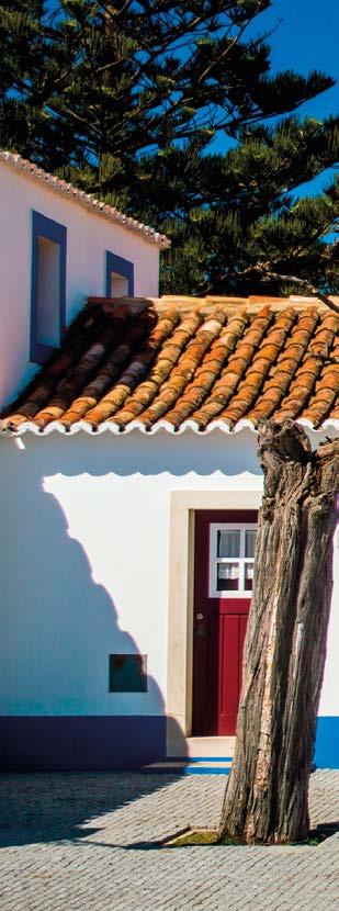 ARQUITECTURA POPULAR SUL CASA ALENTEJANA Sendo o clima da região bastante quente, as casas são caiadas de branco para protecção dos raios solares.