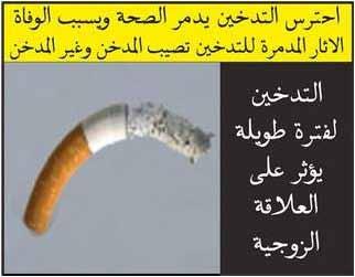2008 Tobacco Labelling Resource Centre: Egypt.