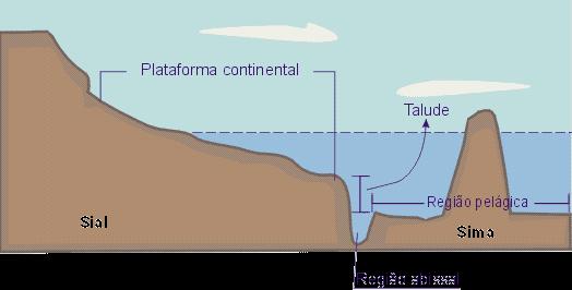 Relevo submarino e litoral O relevo submarino é subdividido em quatro
