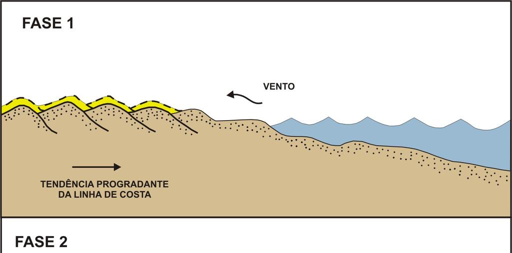 Fig. 10. Modelo evolutivo proposto para a formação dos dois tipos dunas identificados na área de estudo. 4.