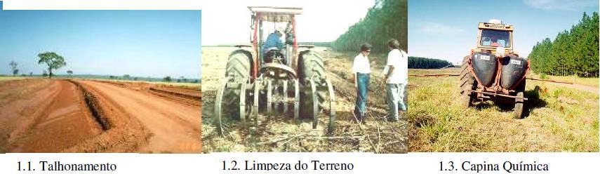 Preparo do terreno Facilita o plantio; Evita