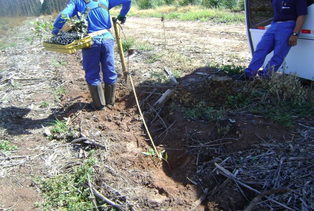 distribuição das chuvas na região; topografia do terreno; fatores