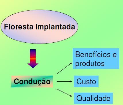 CONDUÇÃO