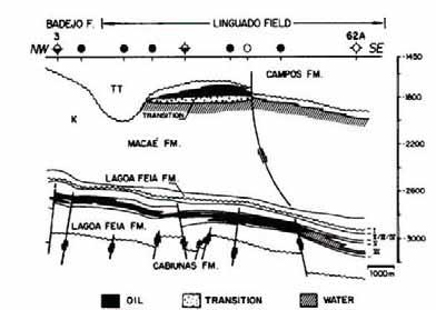 CAPÍTULO VI HABITAT DO PETRÓLEO 1991). Figura 6.2.2-1: Seção geológica do Campo de Linguado (HORCHUTZ et al., Figura 6.2.2-2: Seção geológica na seção das coquinas do Campo de Linguado (HORCHUTZ et al.