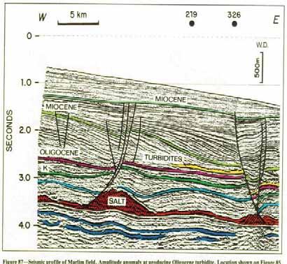 CAPÍTULO VI HABITAT DO PETRÓLEO do bloco é considerada o principal caminho de migração do óleo da seção pré-sal para o reservatório (GUARDADO et al, 1989).