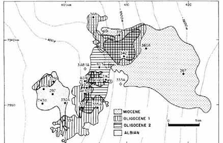 CAPÍTULO VI HABITAT DO PETRÓLEO que o gás descoberto pelo 1-RJS-342 era, na verdade, parte da grande capa de gás da acumulação adjacente Albacora Leste. 6.8.