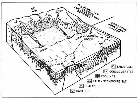 CAPÍTULO IV - SUMÁRIO GEOLÓGICO DA BACIA DE CAMPOS Arcabouço Estratigráfico wackstones (GUARDADO et al., 1989). A cor é controlada pela matriz e os cimentos são de calcita, dolomita ou chert.
