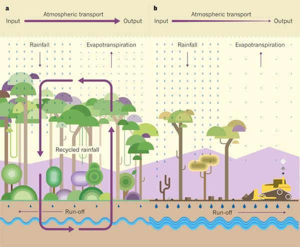 recursos limitações ecológicas, mas também econômicas, sociais, etc.