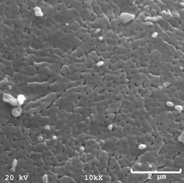 Figura 23 - Morfologia vermicular microporosa obtida sobre o pó de Al 2 O 3 α. 75 Fonte: produção do próprio autor.