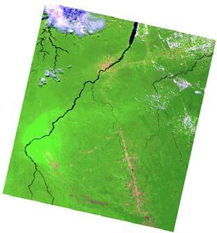 (a) MODIS R6 G2 B1 (b) MODIS Fração Vegetação (b) MODIS Fração