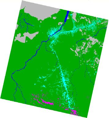 400 km2 entre os anos de 2001 e 2004 na área de estudo.