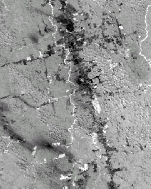 A Figura 4 mostra como aparecem algumas áreas queimadas, próximas a rodovia Br-163, nas imagens MERIS e MODIS e