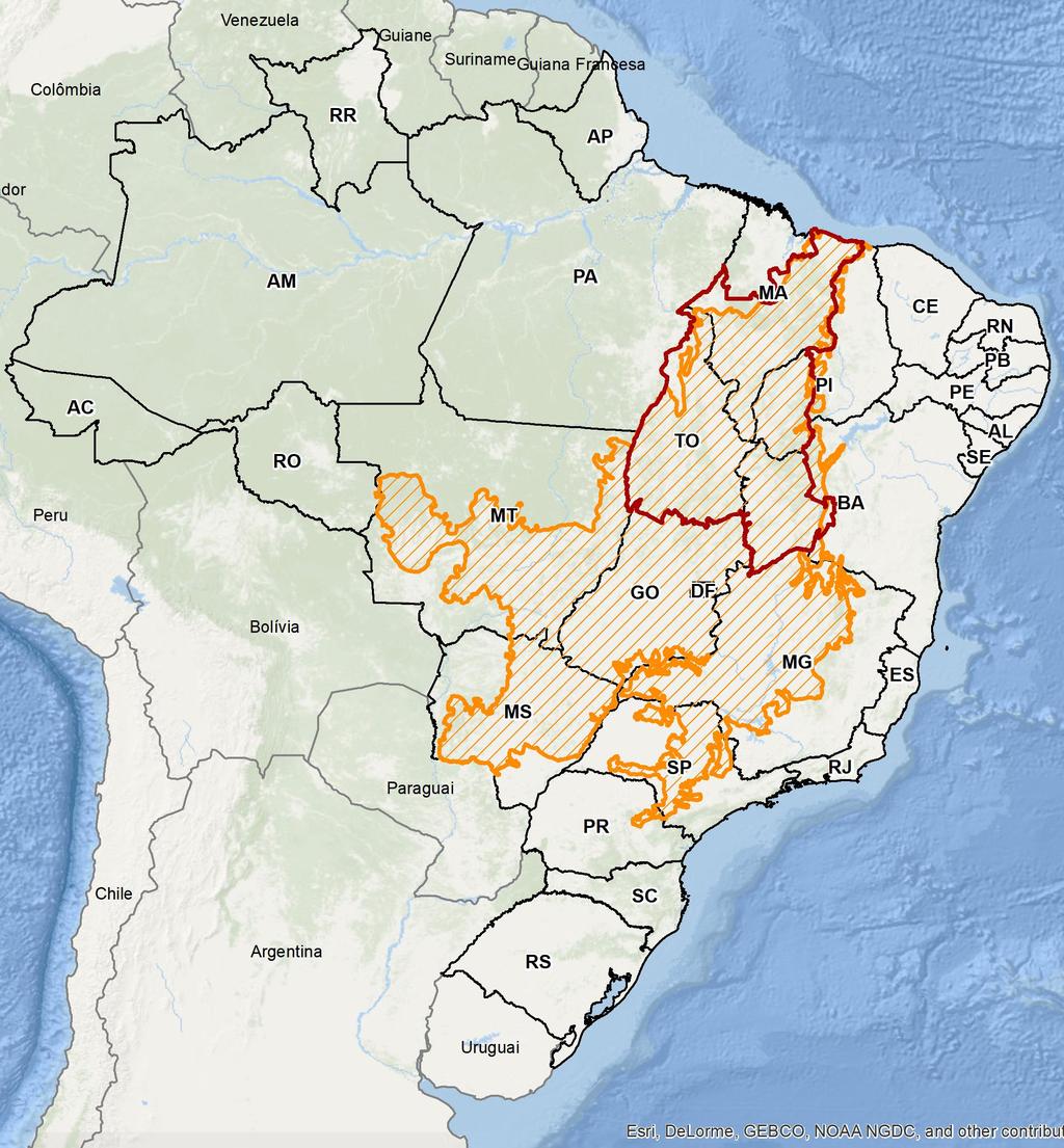 O BIOMA CERRADO O Cerrado brasileiro, caracterizado como uma savana tropical, é o segundo maior bioma da América do Sul.