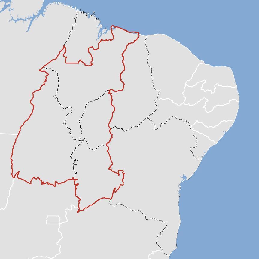 O MATOPIBA Área total (%) MAranhão 33%; TOcantins 38%; PIauí 11%; BAhia 18% O Grupo de Inteligência Territorial (GITE) da Embrapa foi o responsável por demarcar a região do MATOPIBA.