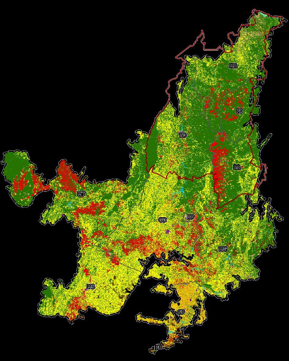 USO DO SOLO Natural Natural não vegetado Agricultura anual Agricultura perene Pastagem Corpo d água Área urbanizada Silvicultura Mosaico de ocupações Outros De acordo com o INPE, em 2013, 54% do